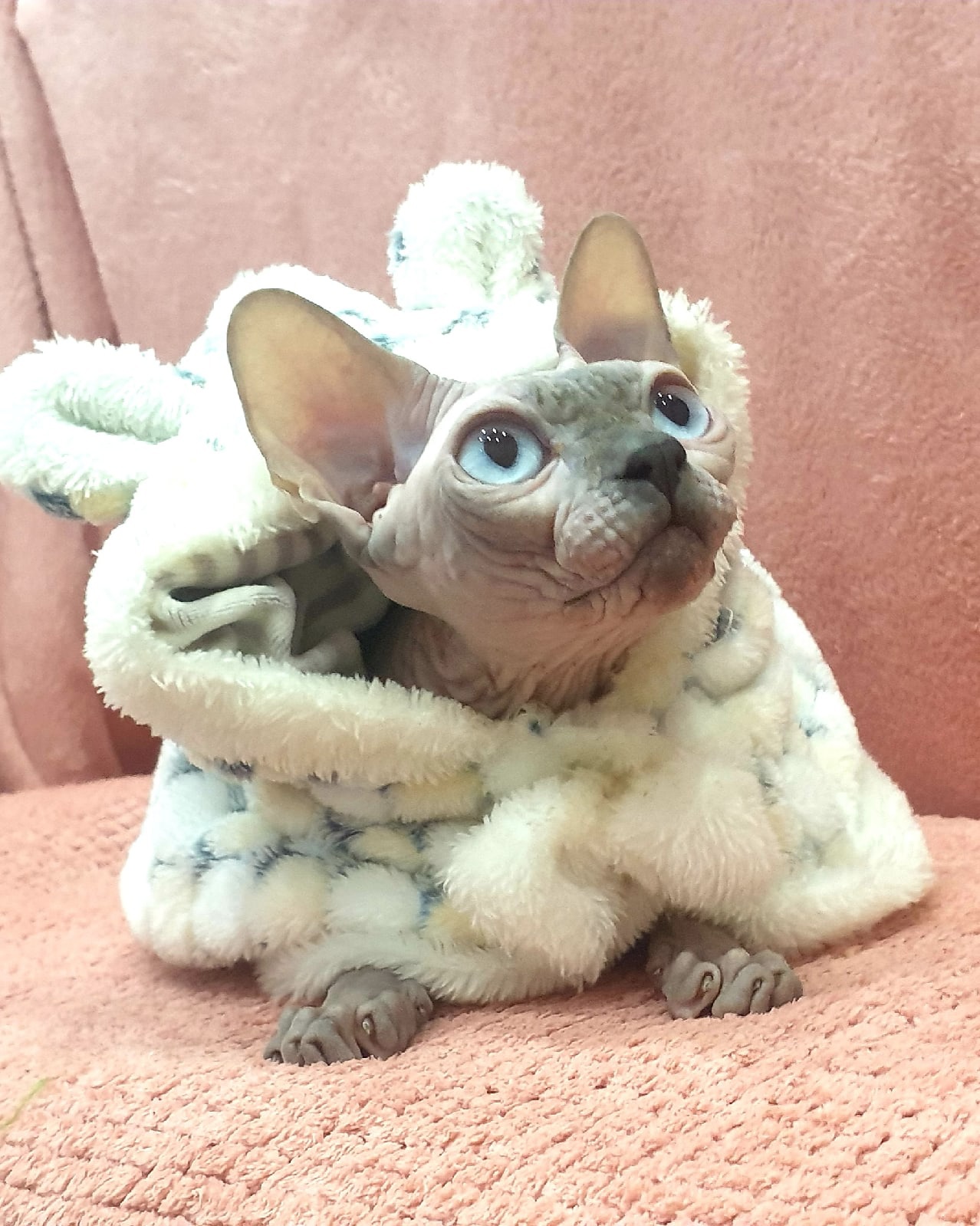 У меня халатик тёплый есть, может и носочки прикупить