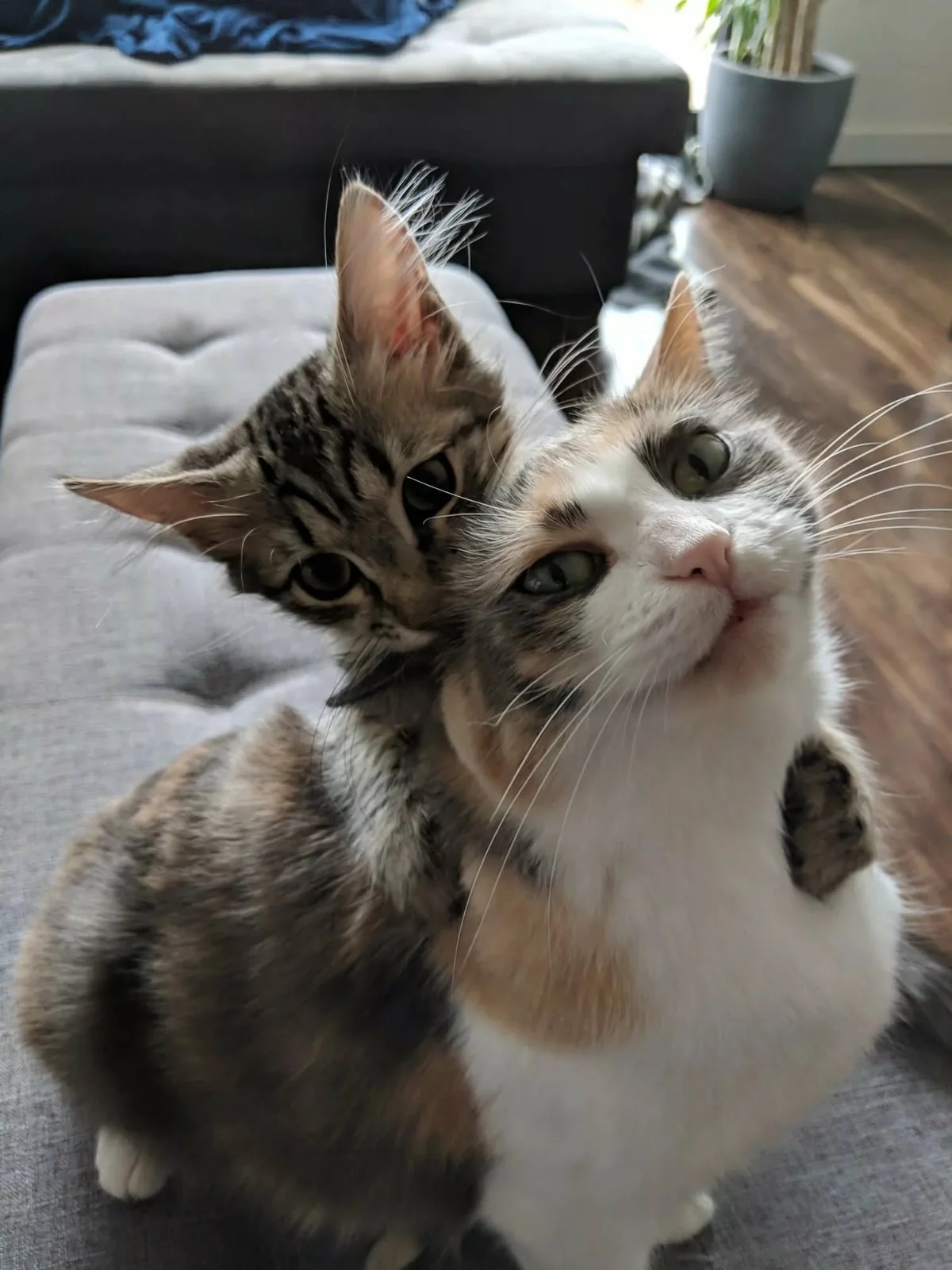 Вот так, я мамочку люблю