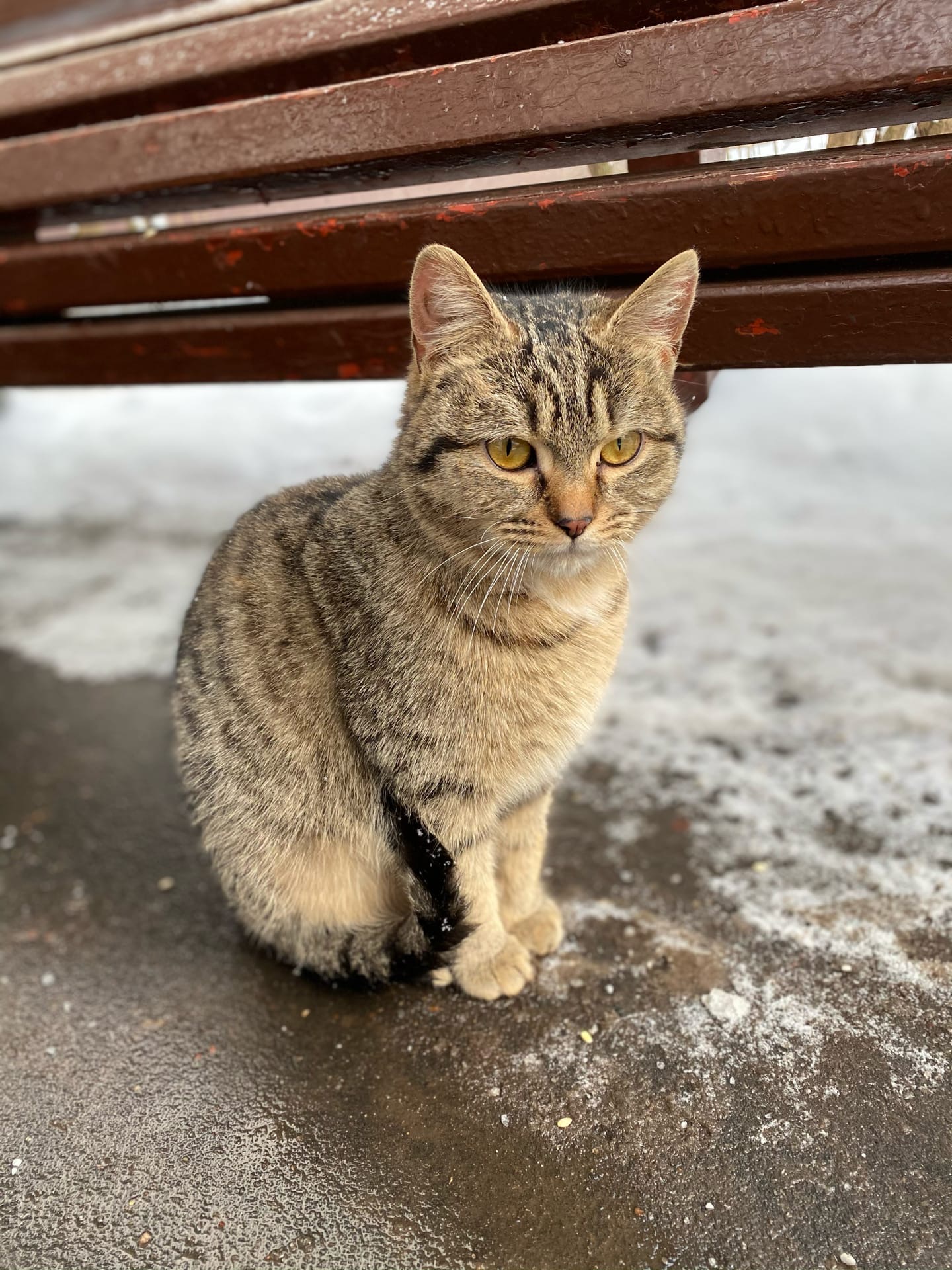 Дожить бы до весны, а там теплее станет