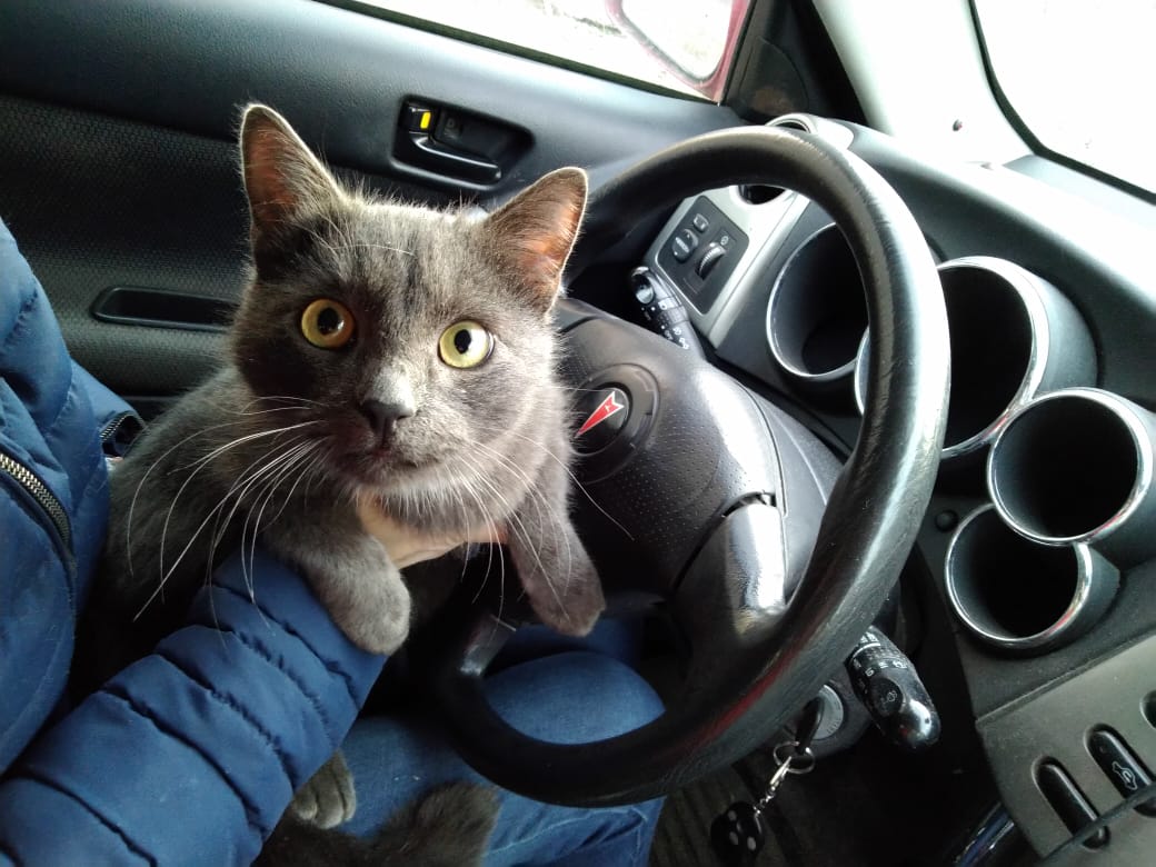 В первый раз за рулём, так волнуюсь