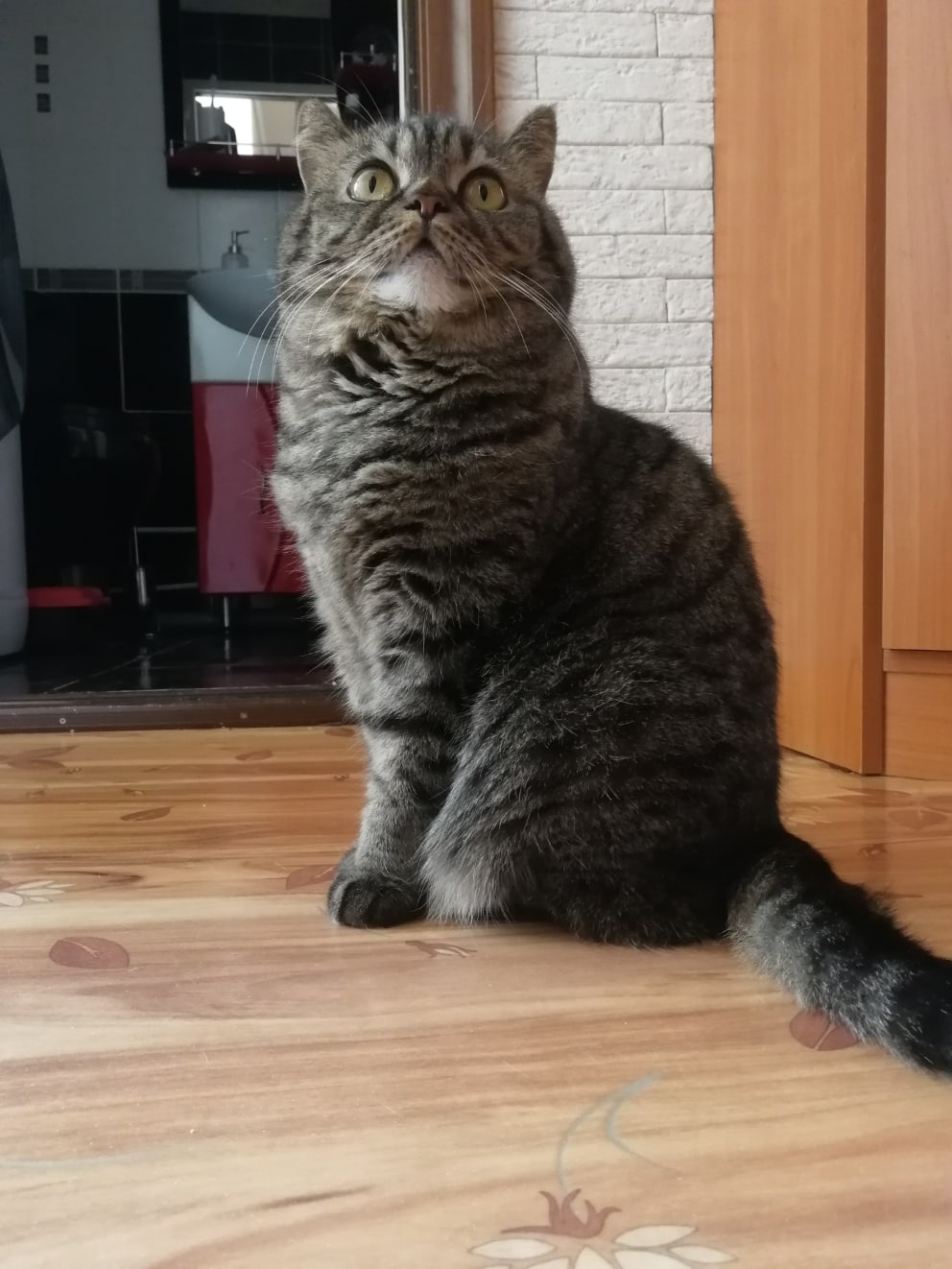 Хозяин, ты после работы нигде не задерживайся