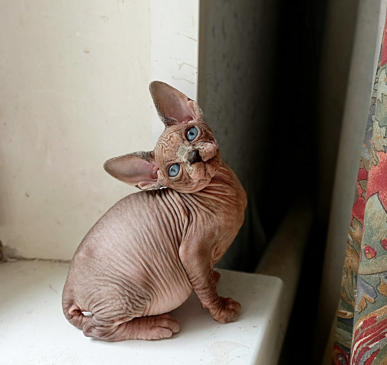 Стесняюсь спросить, может меня пора покормить