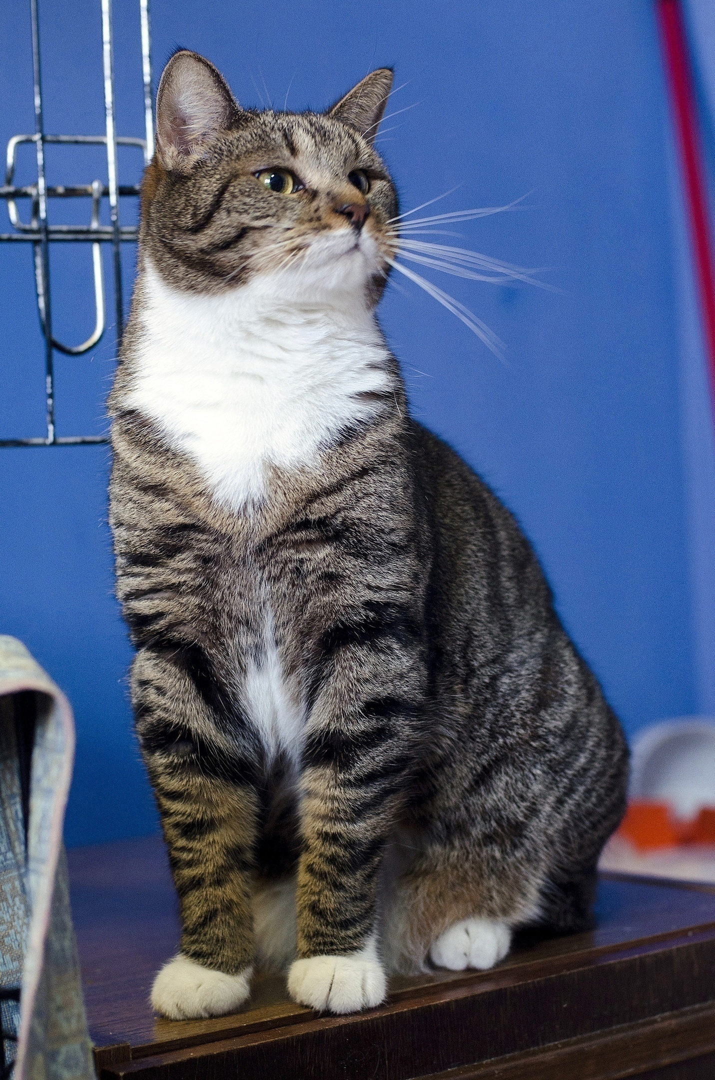 Что там, у нас сегодня вкусненького