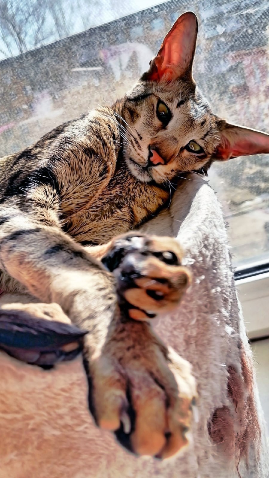 Грустно дома одному