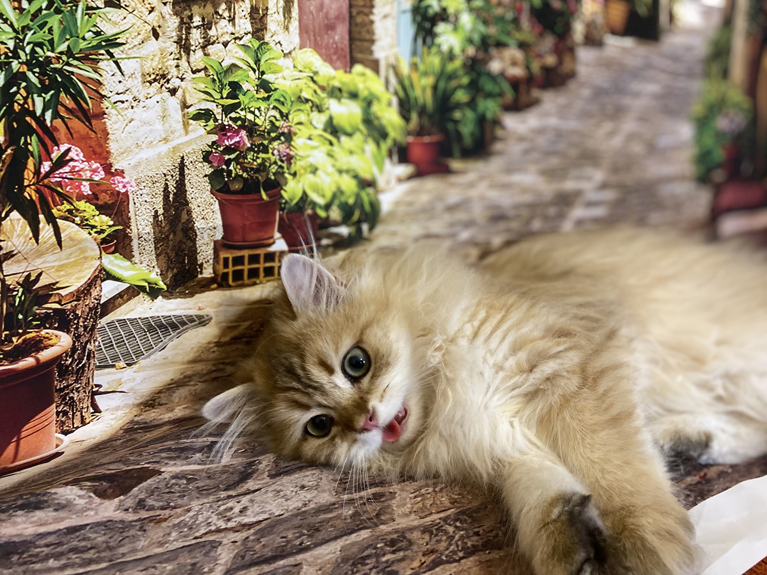 Фух, устала отдыхать