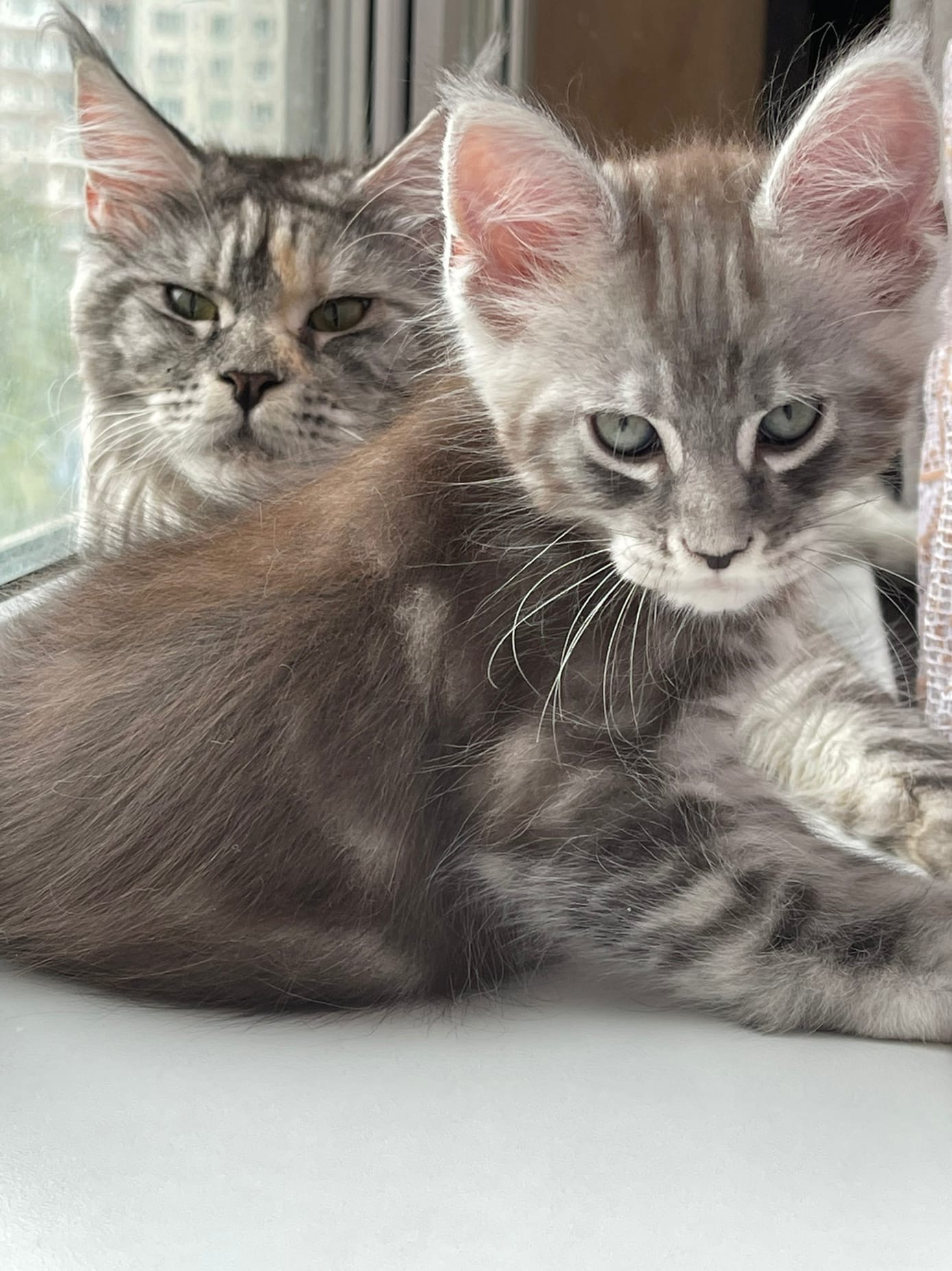 Не мешайте, у нас тут важный разговор