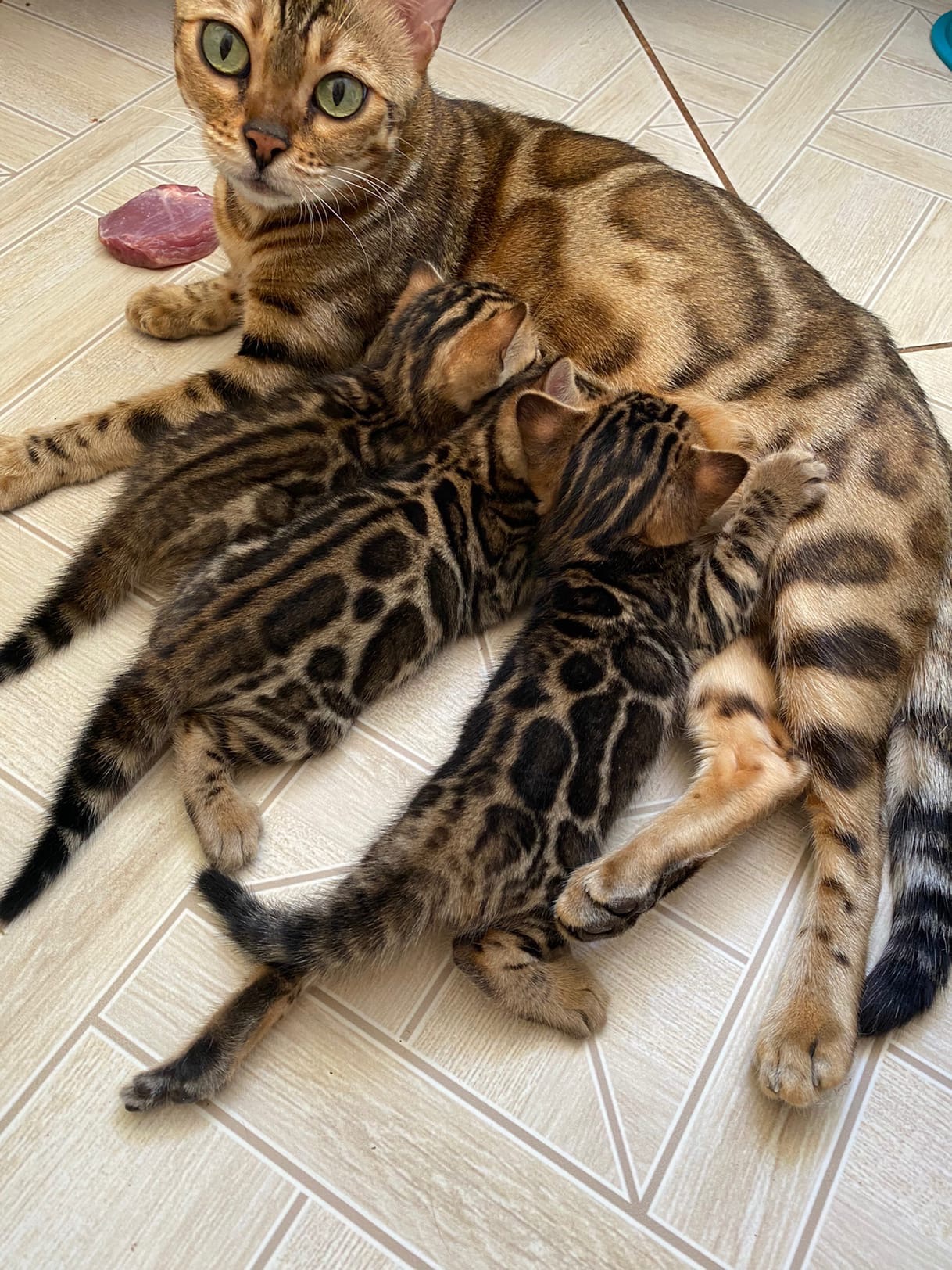 У нас обед, по - расписанию