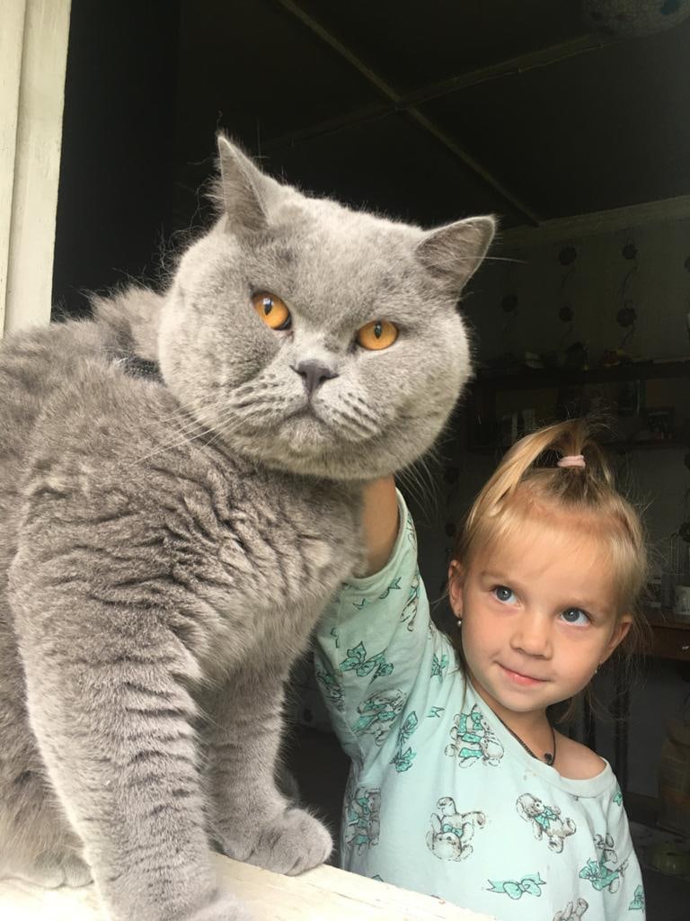 Меня гладить может, только моя маленькая хозяйка