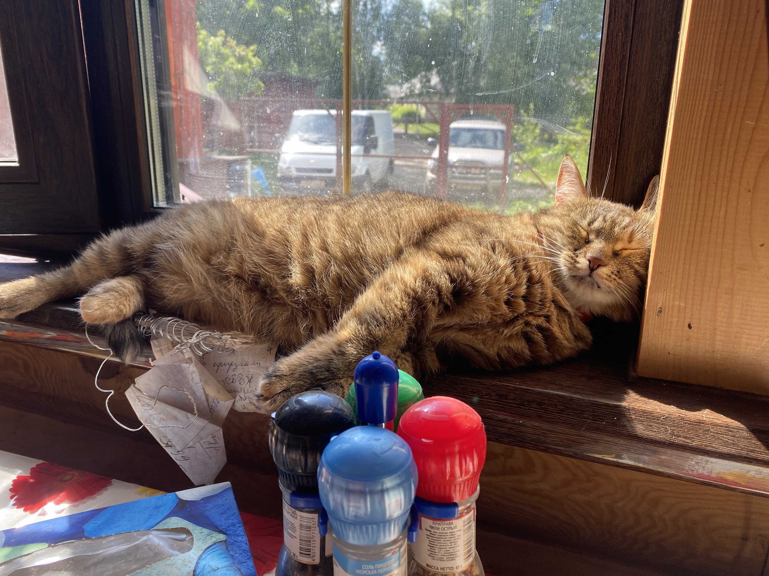 Сторож спит, служба идёт