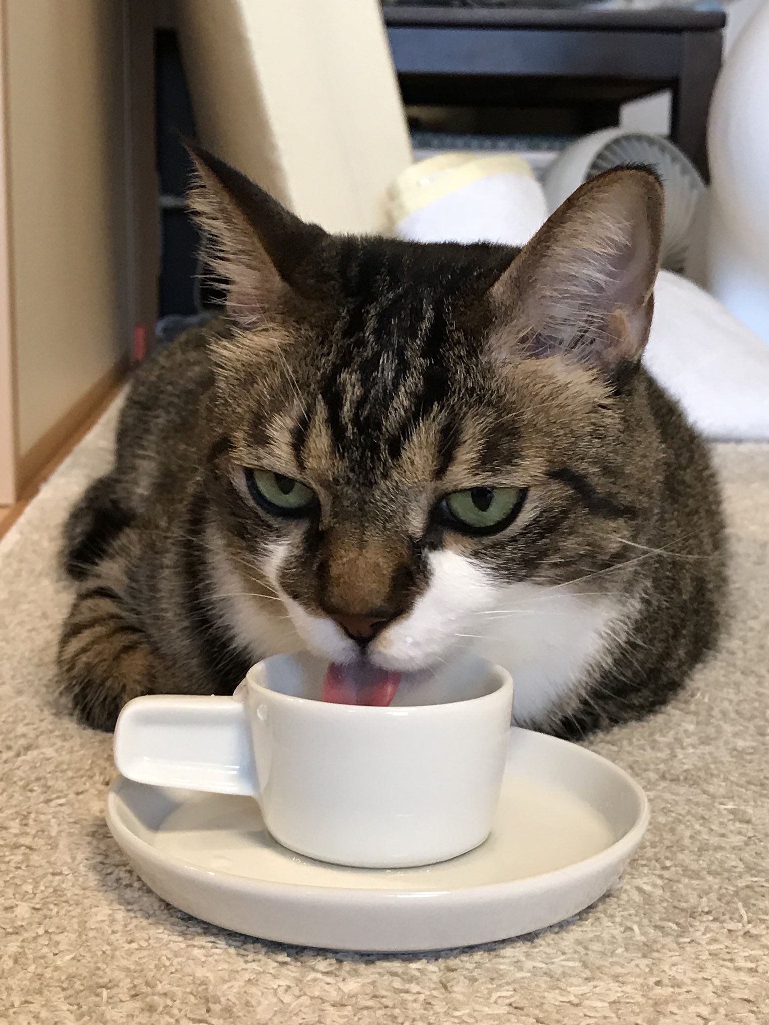 Люблю по утрам, молочка выпить