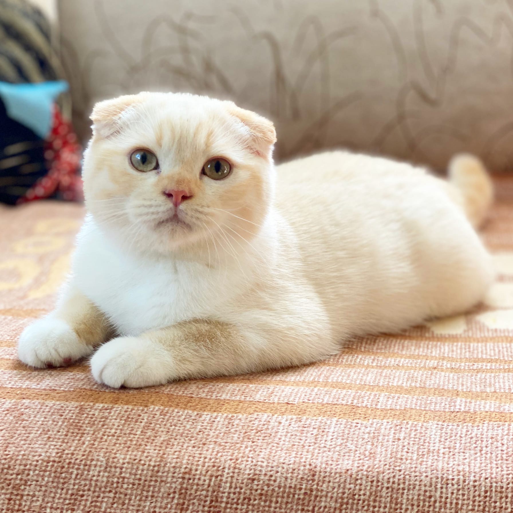 Сегодня, мне хочется нежности