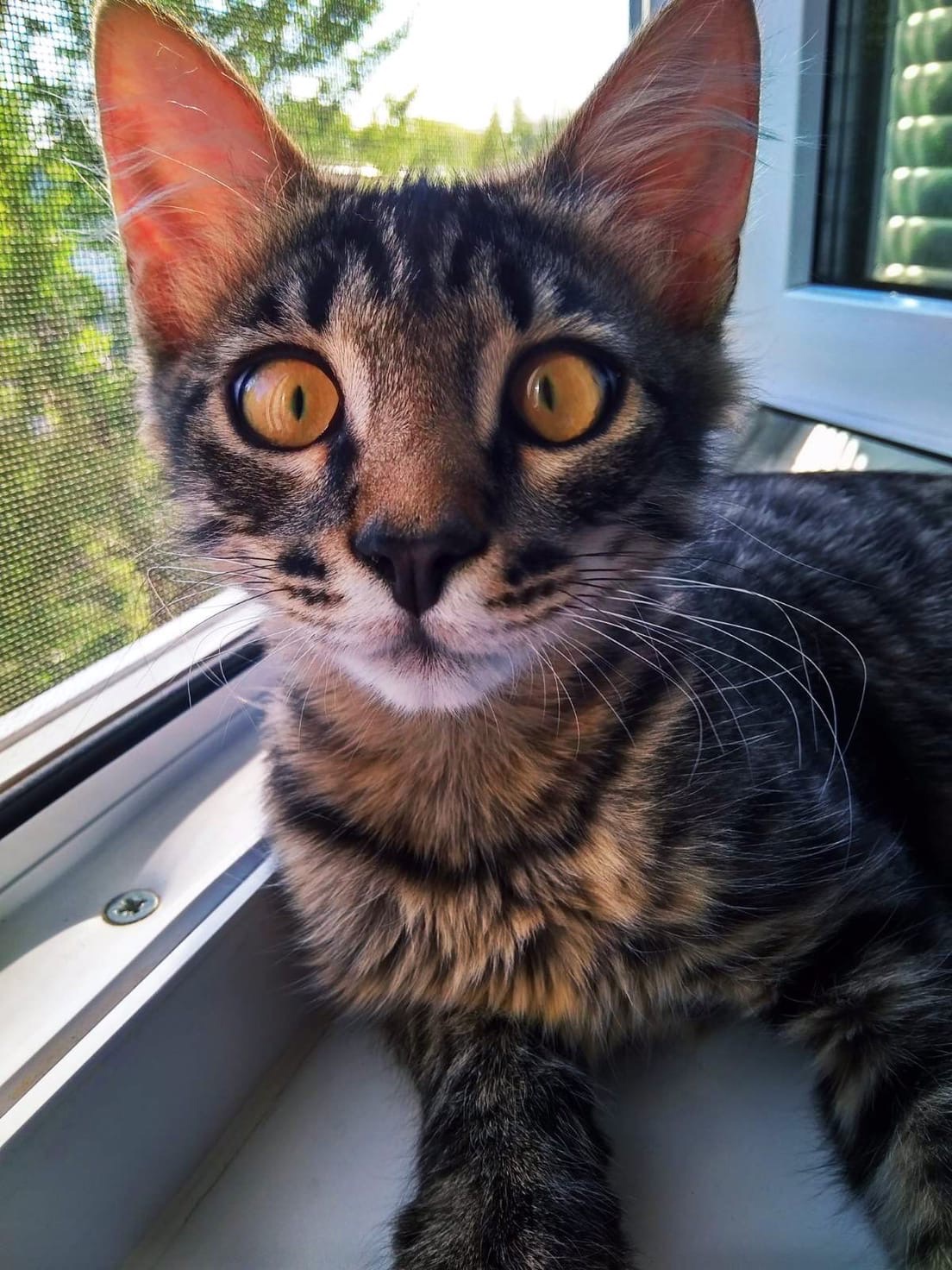 Я там такое видел, хотите покажу