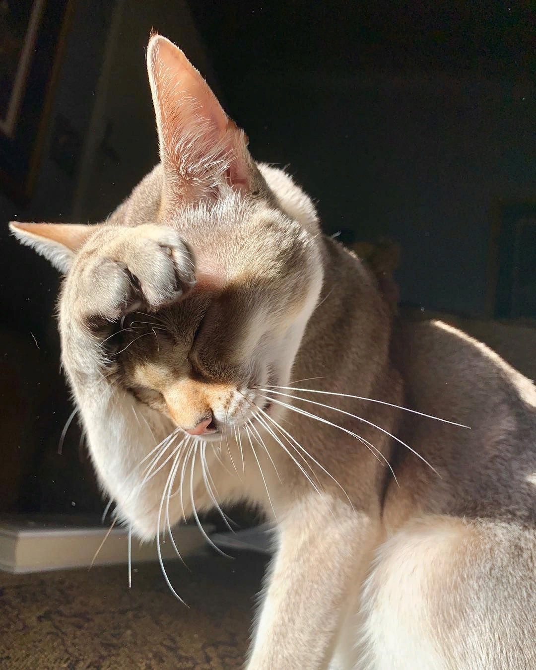 Солнышко - как ярко светит