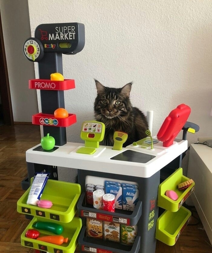 Кассир месяца