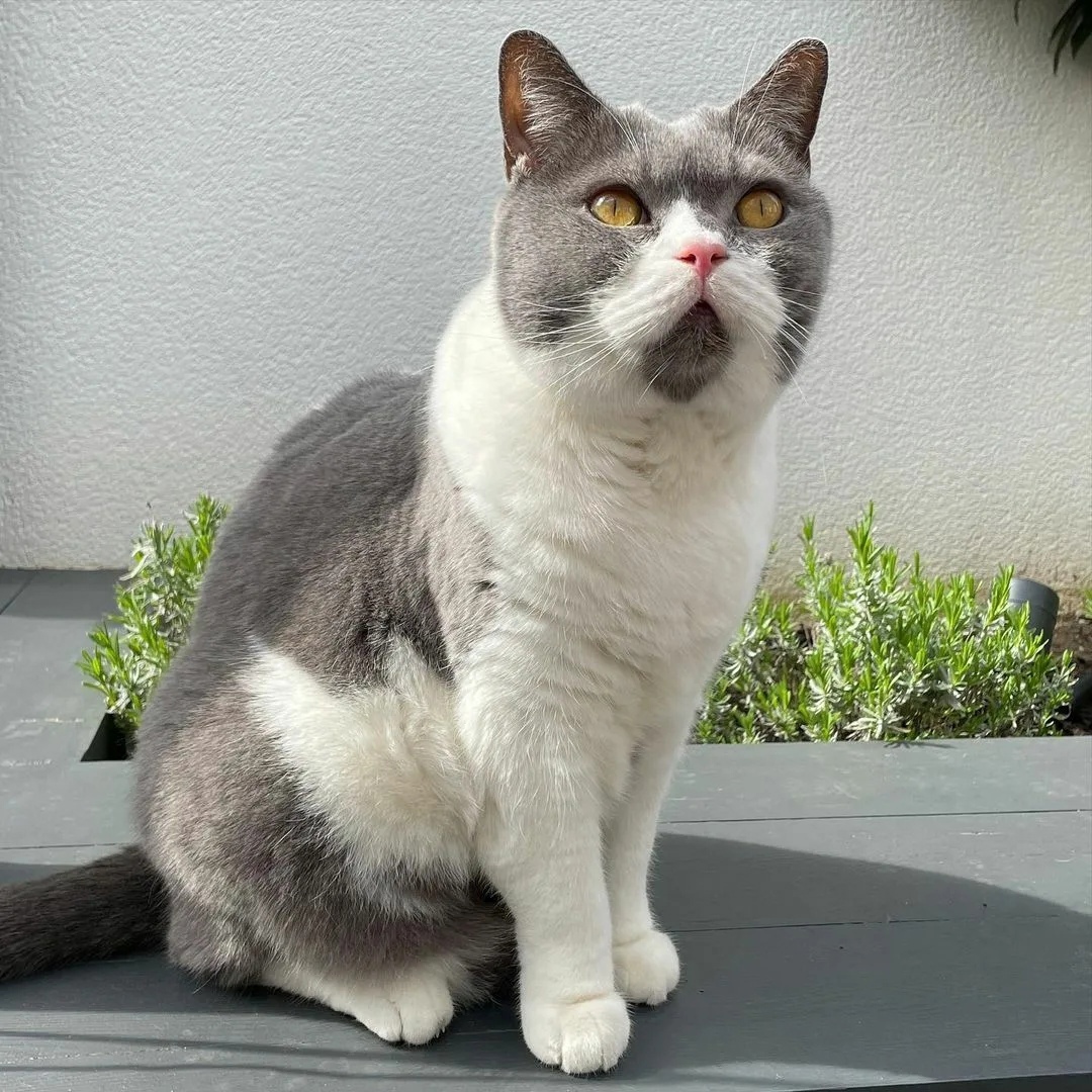 Как приятно прогуляться, в этот солнечный день