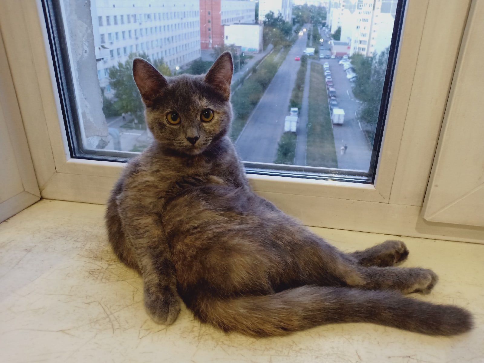 Вы на работу, я буду скучать