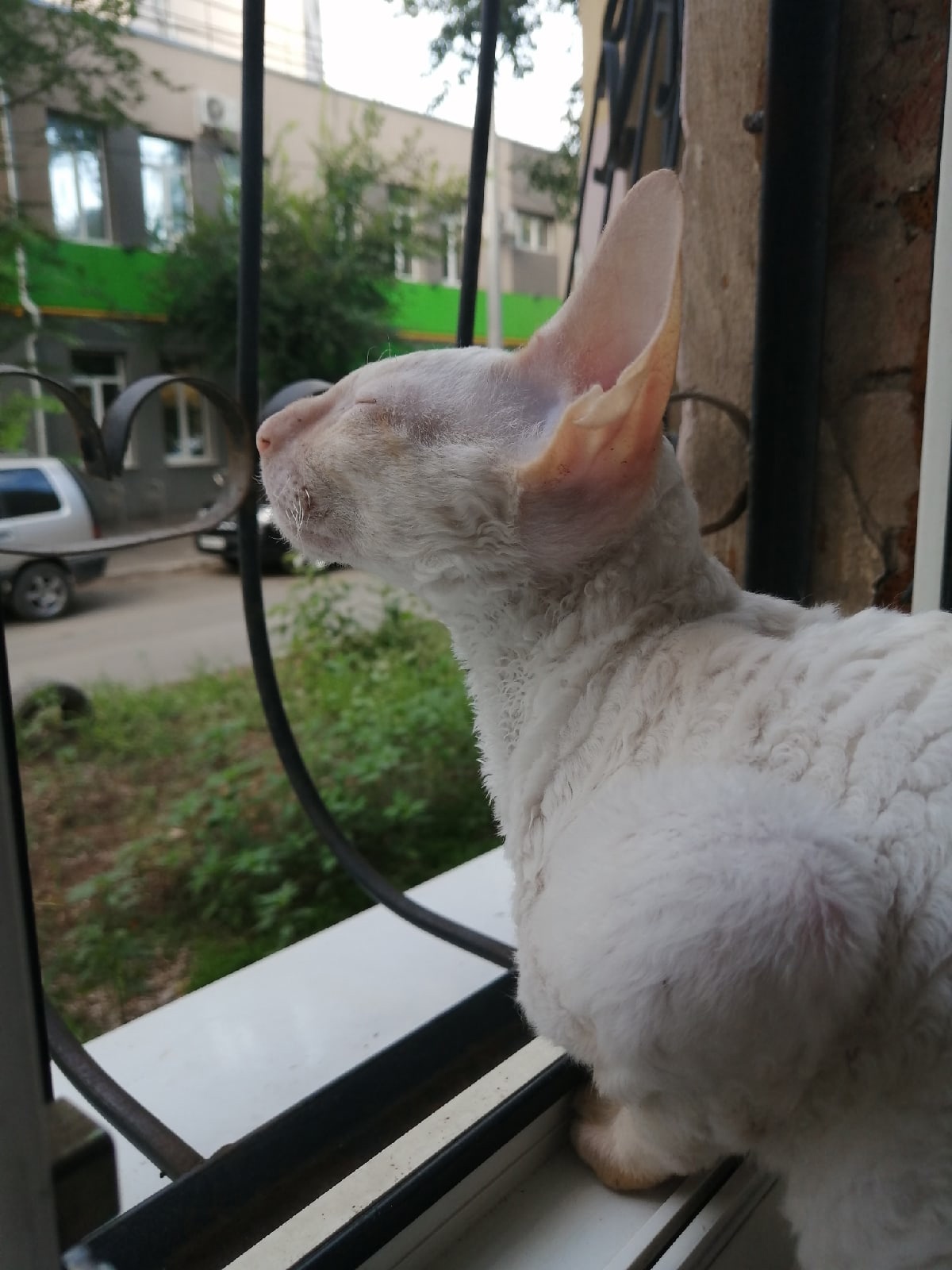 Какая свежесть, дышится легко