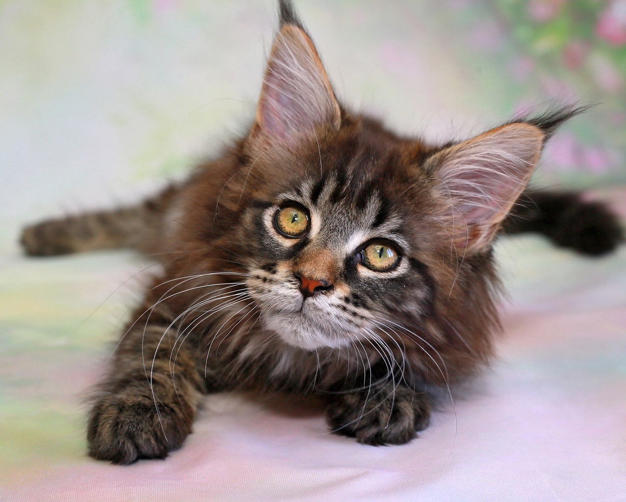 Я пока, поваляюсь в постельке