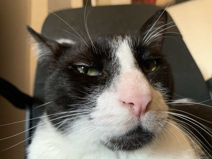 У кого - то выходной, а я на работе парюсь