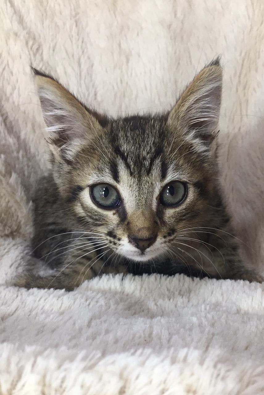 Вы уже встали, а я наверно ещё полежу