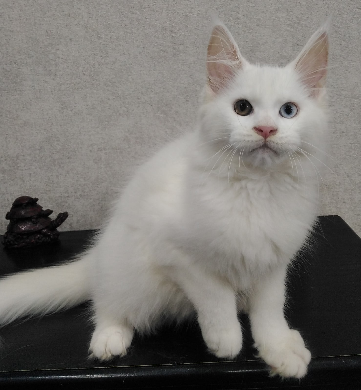 Возьмите меня на работу, вместе мы много денег заработаем