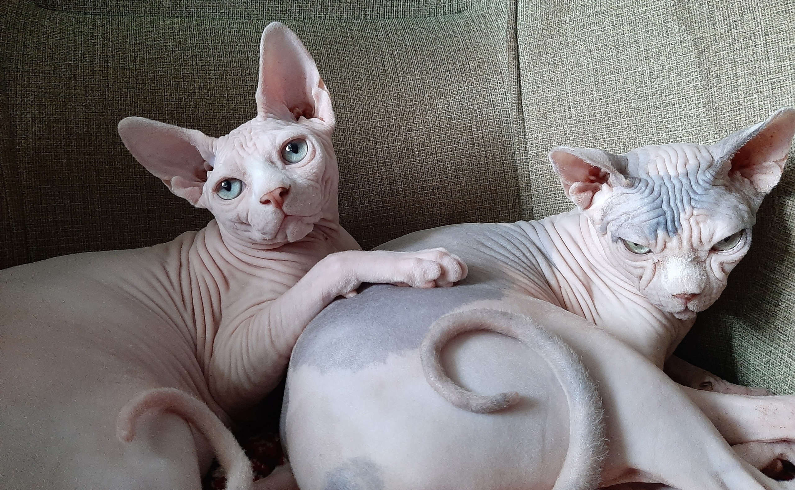 Вы что - то хотели, а то мы спать легли