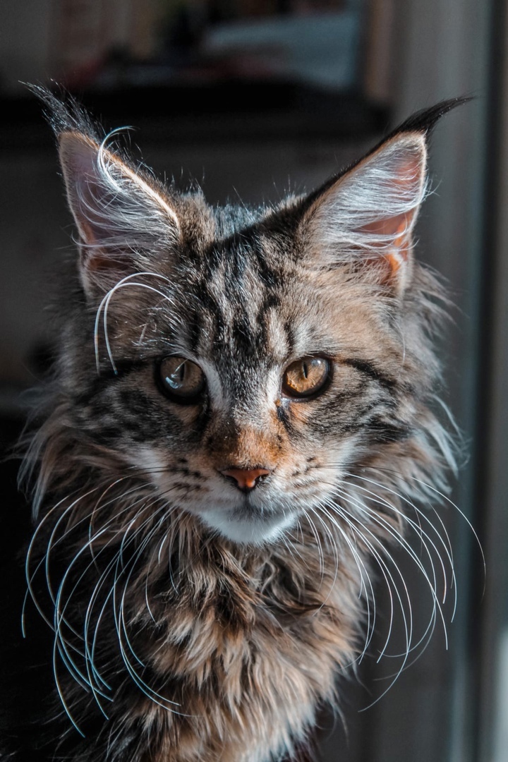 Незнаю, чем заняться