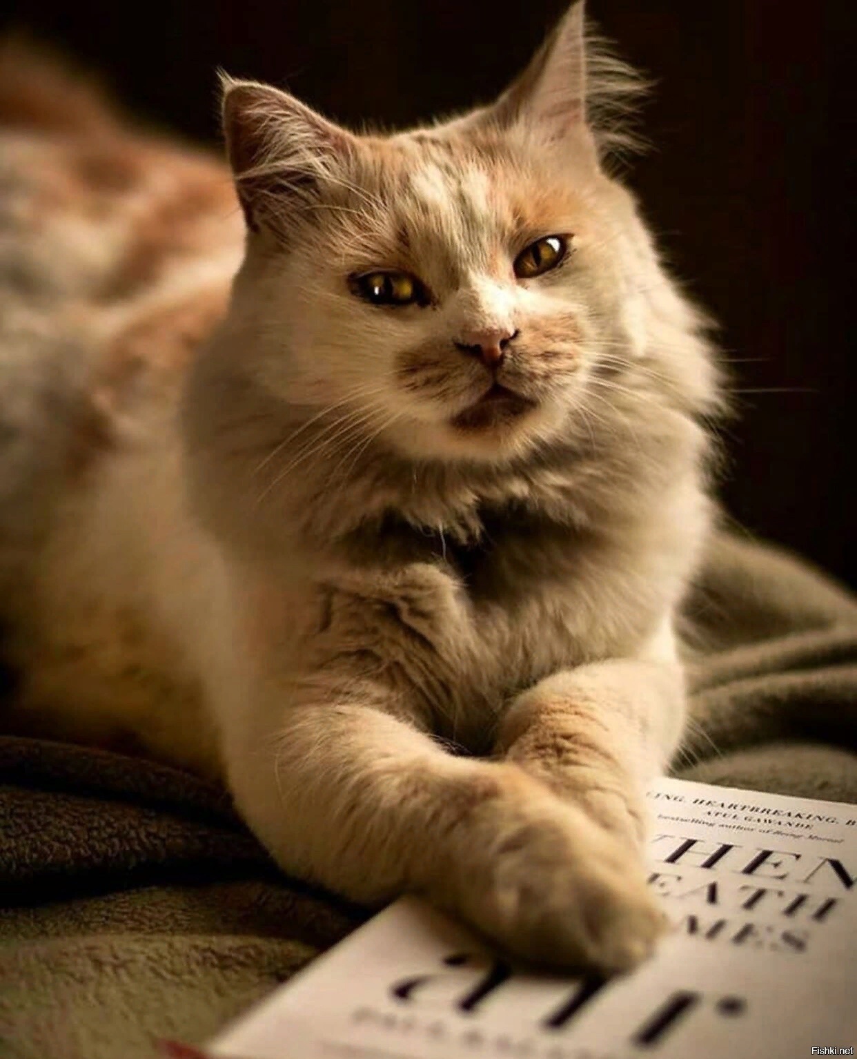 Приятный отдых