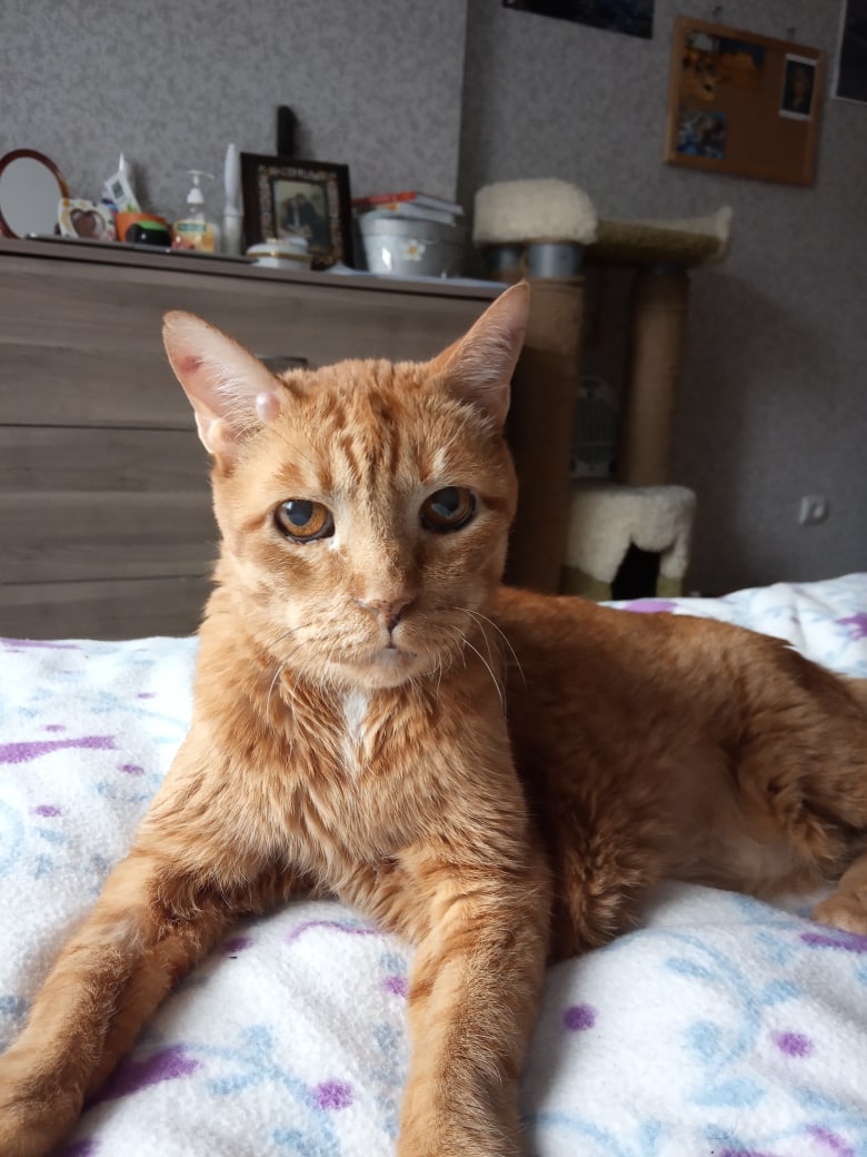 Старичку, завтрак в постель принесите пожалуйста