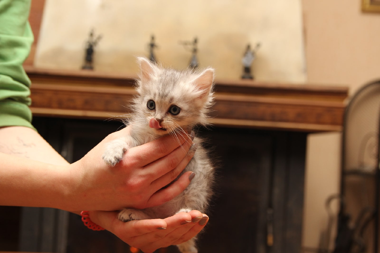 Завтрак понравился, теперь можете меня нянчить