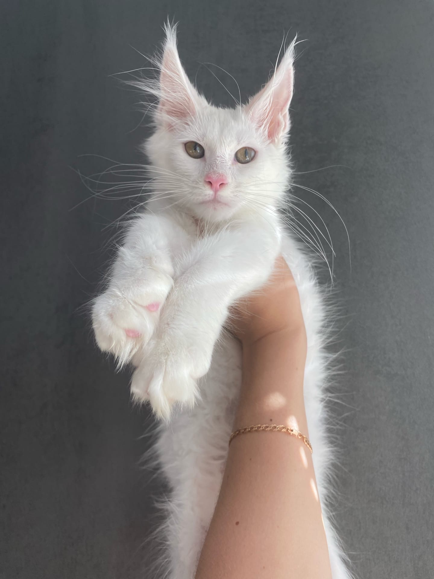 Выше поднимайте, пусть меня все видят