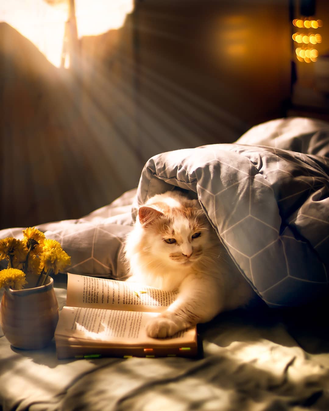 Незаметно ночь прошла, книжка интересная была