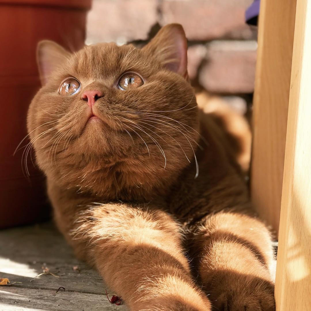 Куда ни спрячусь, везде меня находят