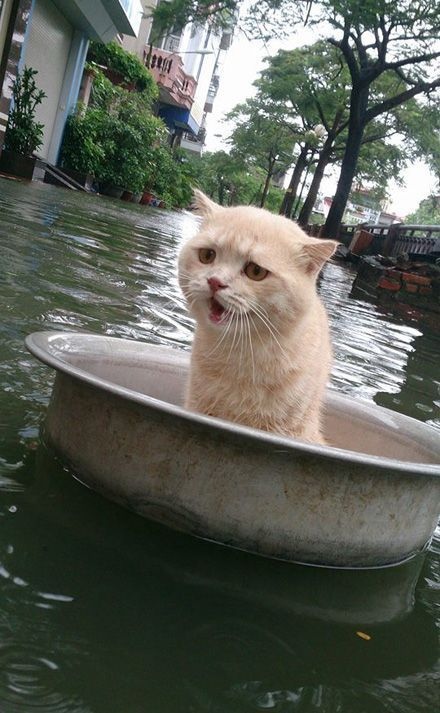 Где тот герой, который меня спасёт