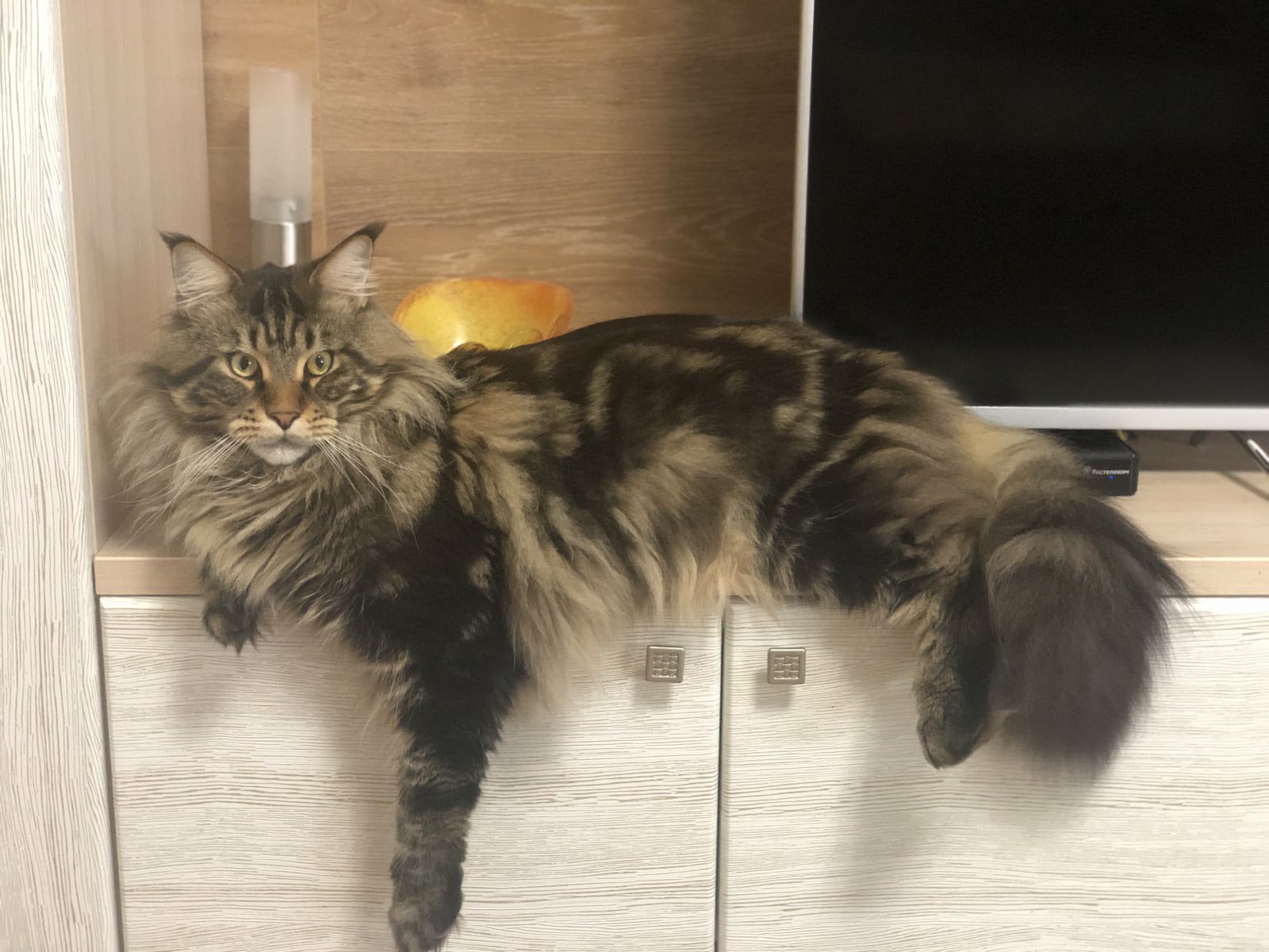 Кина не будет, я сказал