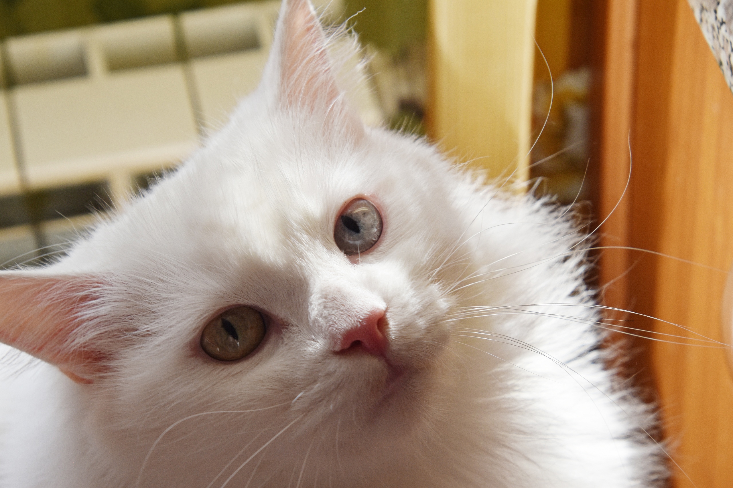 Я пошла бы погулять, боюсь шубку измарать