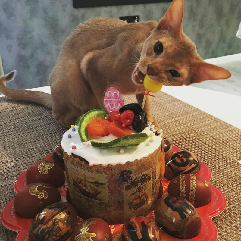 Пасха началась