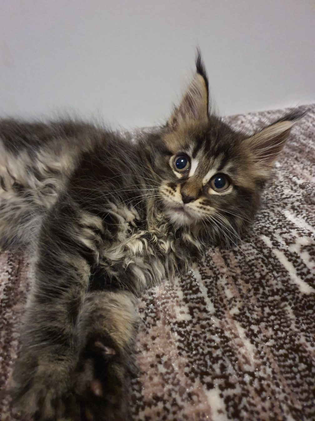 Что, вставать пора