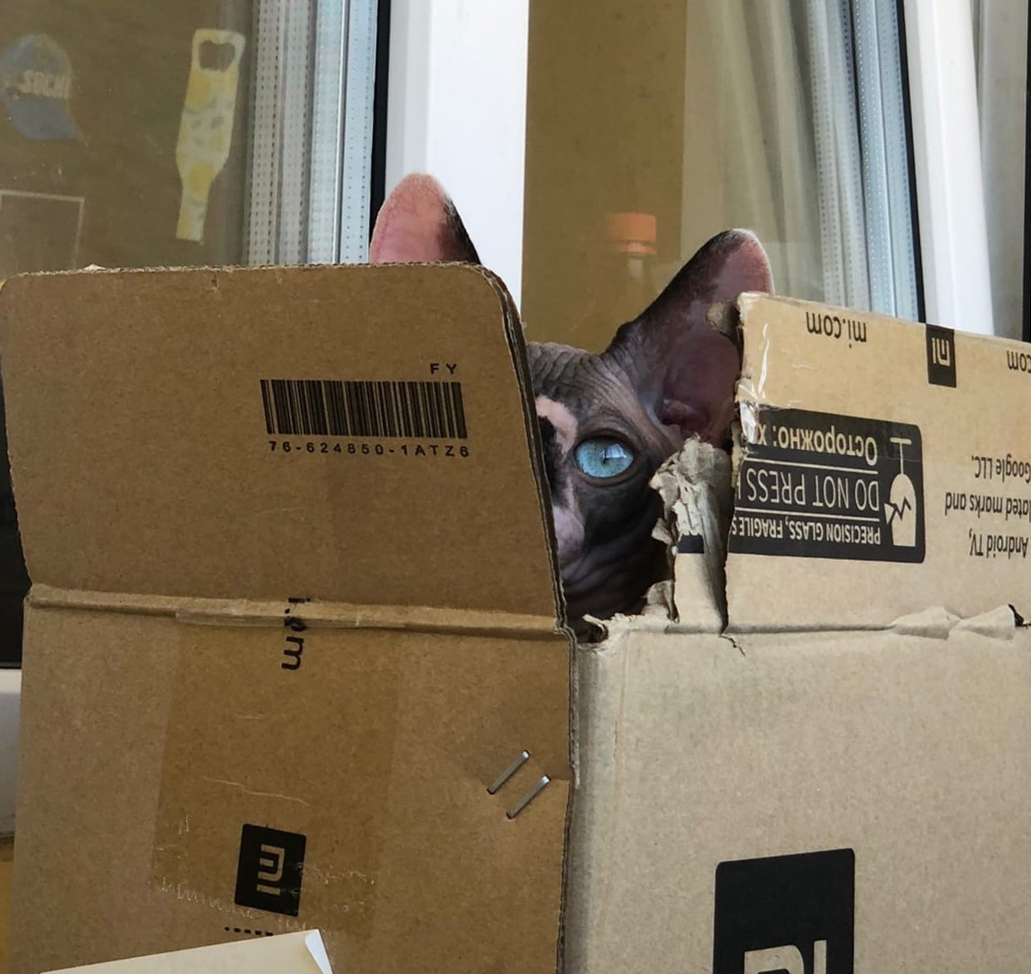 Кто - кто, в коробочке живёт