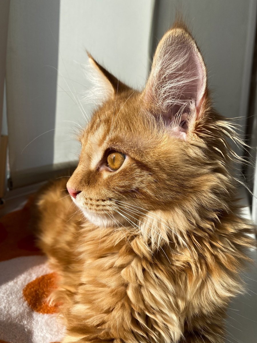 От моего взгляда, ни одна муха не ускользнёт