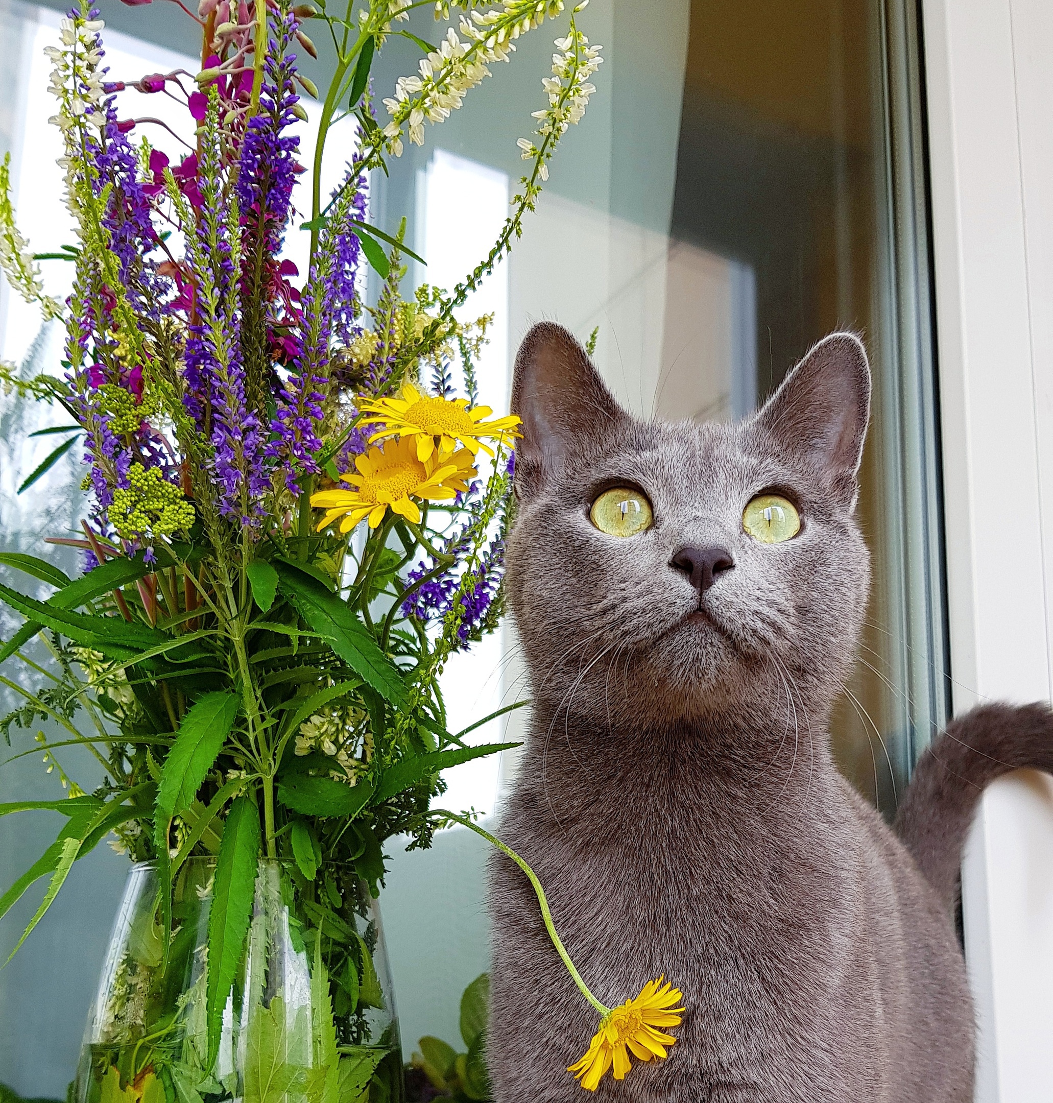 Кажется, дождик начинается