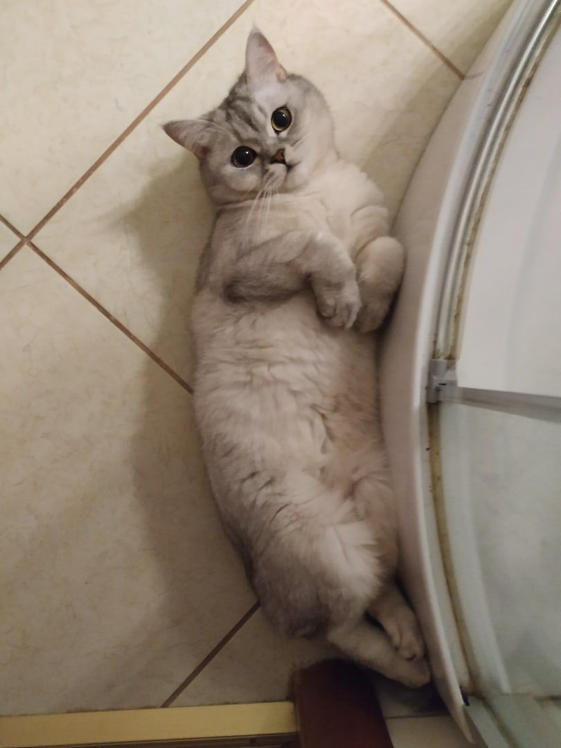 Проходите в душ, не стесняйтесь