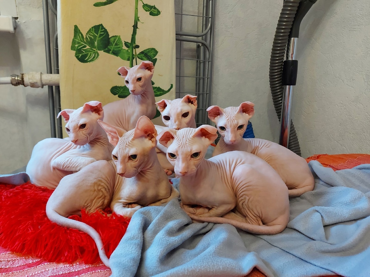 Мы, не выспались