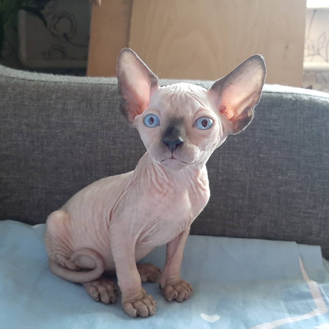 Может сегодня, добрыми делами заняться