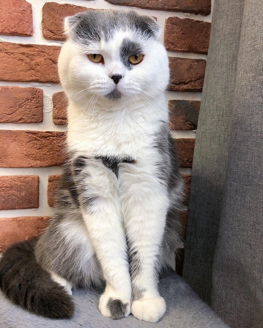 Выспаться не дали, значит буду капризничать