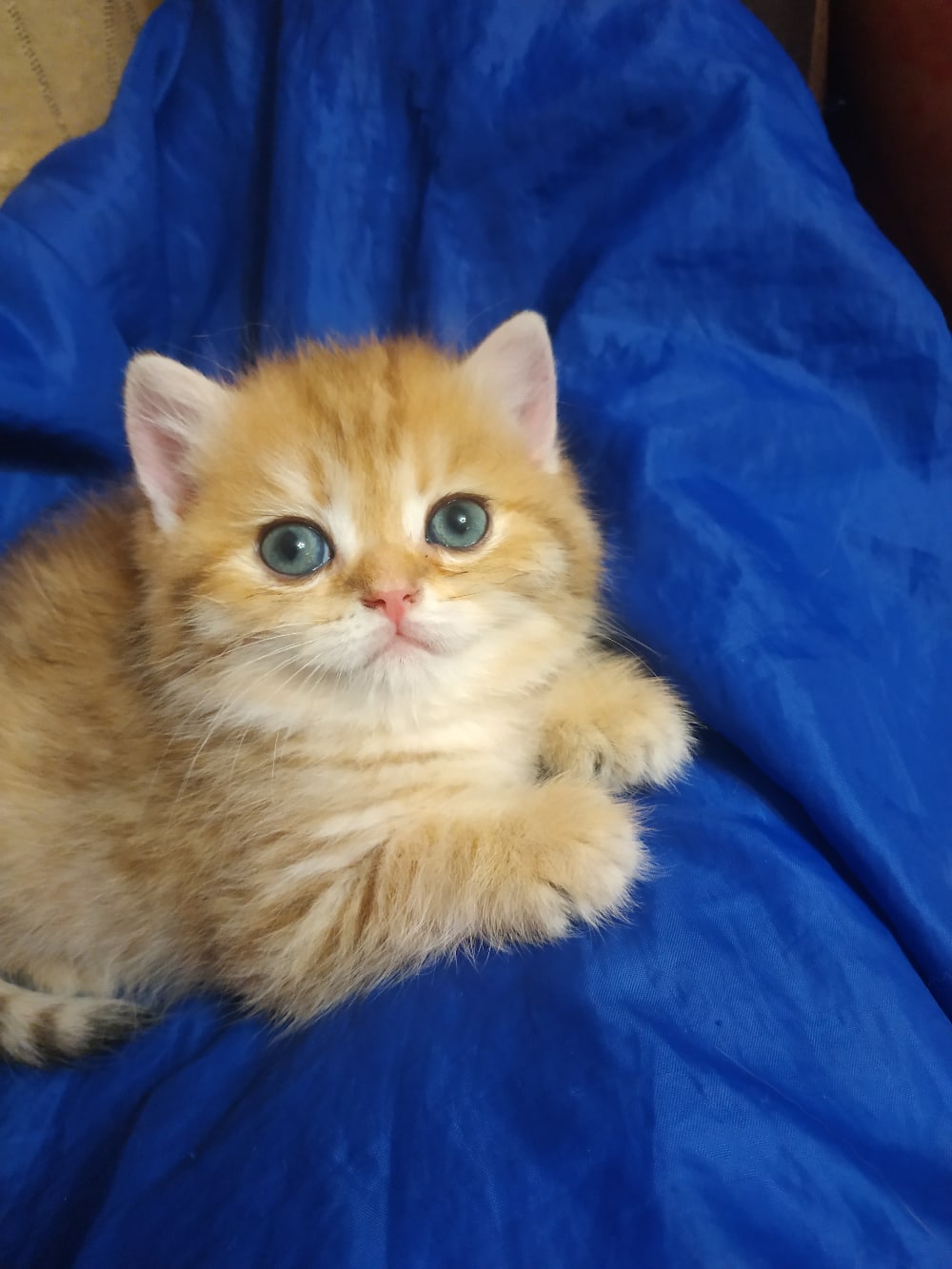 Я так сказки люблю, может расскажите