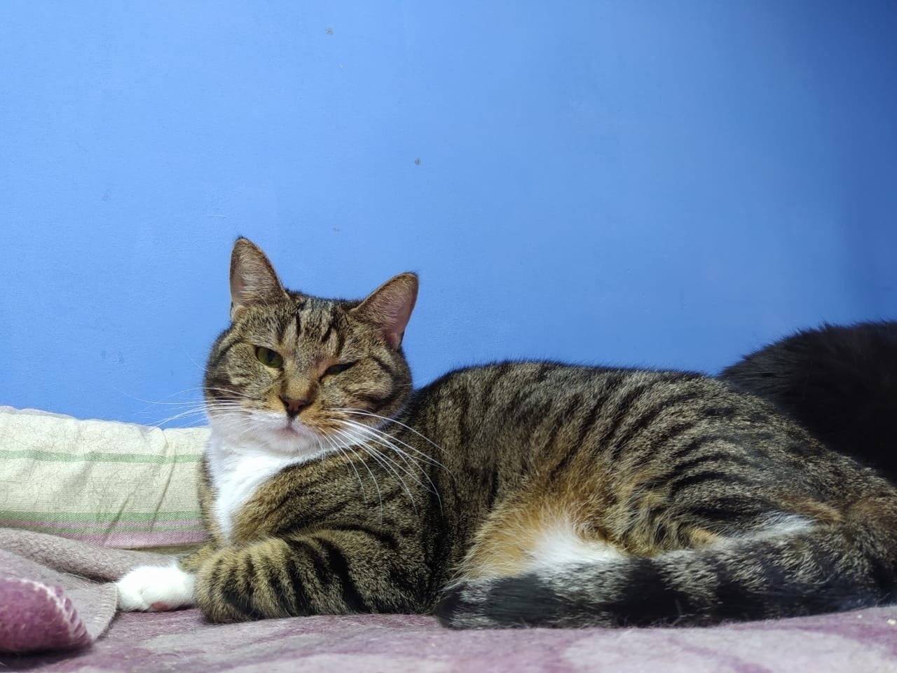 Если ничего срочного, то приходите позже, мы ещё спим