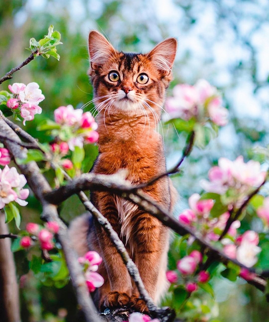 Не ищите меня, я тут надолго