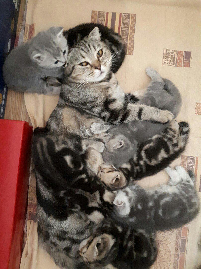 Неужели, это - все мои