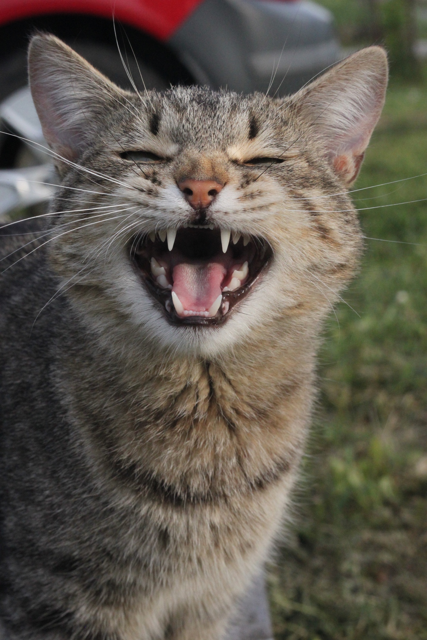 У меня сегодня - отличное настроение